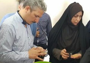 خرید گندم در استان قزوین از مرز ۱۰۰ هزار تن گذشت