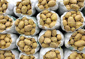 سوء مدیریتی که محصولات کشاورزی را پشت در بازار نگاه داشته است + فیلم