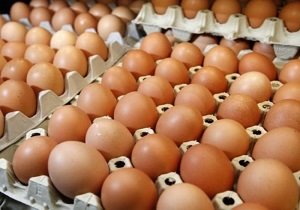 توقیف 4 تن تخم مرغ بدون گواهی بهداشتی در فردوس