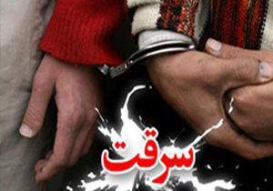 40 فقره انواع سرقت در همدان کشف شد