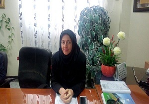 وجود ۲۱ سمن در خراسان جنوبی