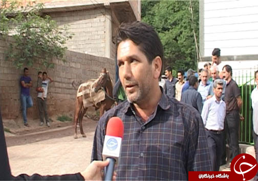 سلیقه&zwnj; ای که به مذاق بهره برداران از جنگل خوش نیامد