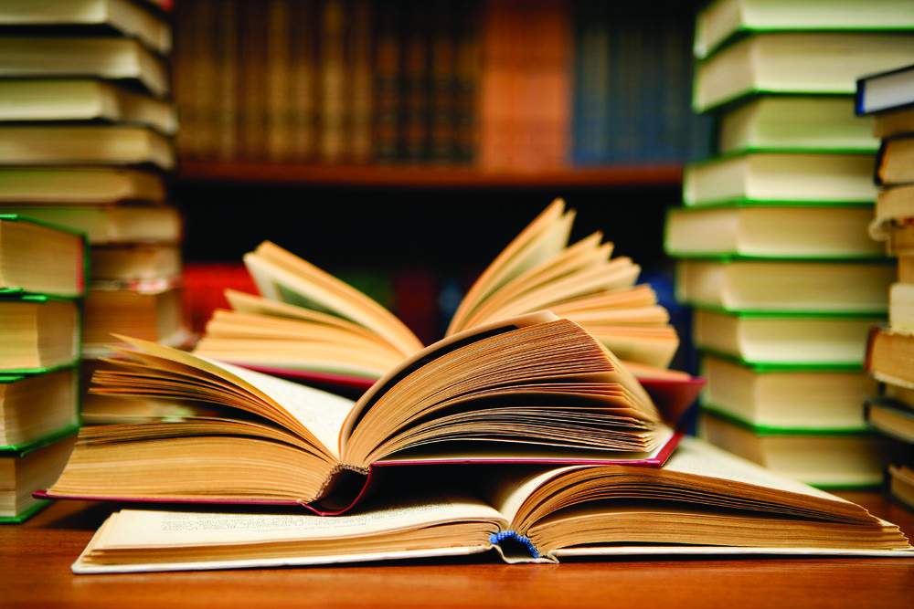 استقبال گسترده از یار مهربان