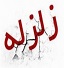 زلزله ۲ و ۷ دهم ریشتری در بیرجند/ زمین لرزه خسارتی نداشت