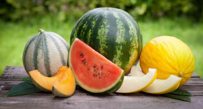 چگونه طالبی، خربزه و هندوانه شیرین و رسیده انتخاب کنیم؟
