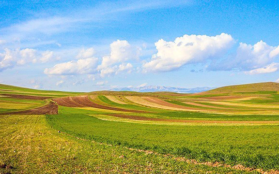 کجای ایران در روزهای گرم تابستان امسال باران بارید؟