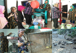 خودکفایی خانواده ساروی با کارآفرینی