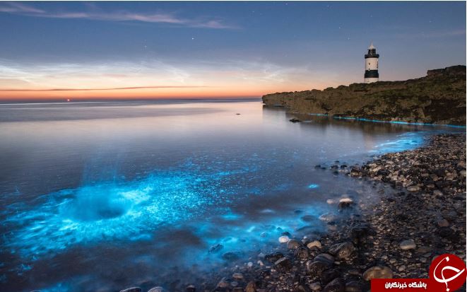 تصاویر روز: از نورپردازی اقیانوس توسط یک پلانکتون نادر تا رژه سربازان ونزوئلایی با مار&zwnj;ها