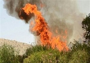 آتش به جان مراتع خلجستان در قم افتاد/علت حادثه مشخص نیست