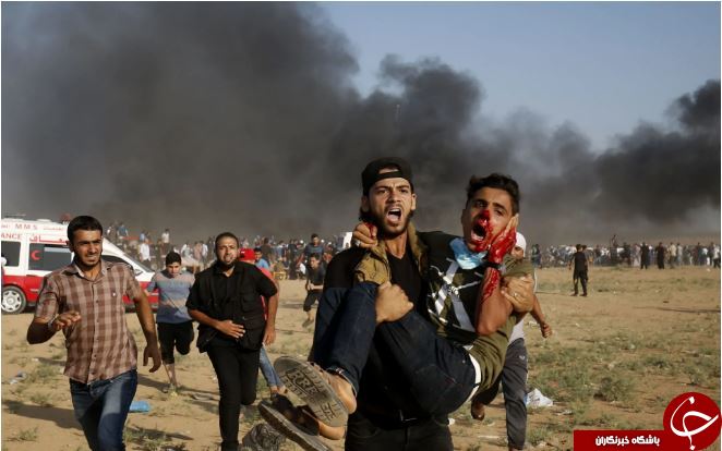تصاویر روز: از تظاهرات فلسطینیها با نیروهای صهیونیست تا تظاهرات علیه گاوبازی در اسپانیا تصاویر روز: از تظاهرات فلسطینیها با نیروهای صهیونیست تا تظاهرات علیه گاوبازی در اسپانیا