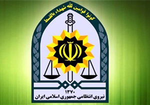 دستگیری ۱۲ سارق در چهارمحال و بختیاری