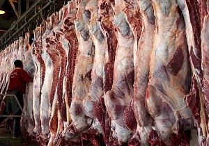 عرضه توزیع گوشت گرم وارداتی با قیمت مصوب و نرخ دولتی