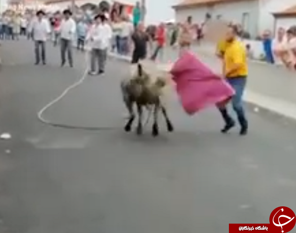 اقدام عجیب پدری