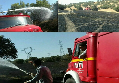 دو نفر مصدوم در حریق ۳ هکتار از مزارع کشاورزی روستای ایوان دره الشتر+عکس