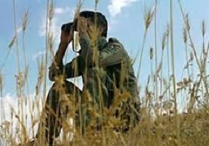 محیط بان گلستانی هدف گلوله شکارچی غیرمجاز قرار گرفت