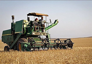 فعالیت بیش از ۳ هزار کمباین/فرسودگی ۶۰ درصدی کمباین‌های فارس