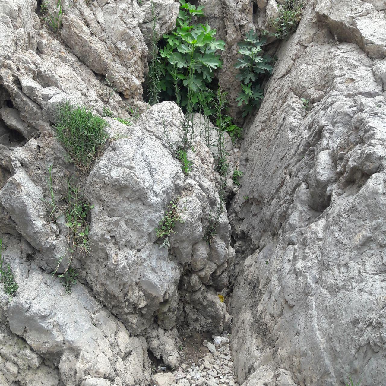 روزی روزگاری چشمه علی