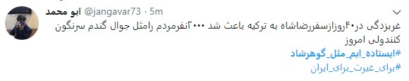 هشتگ  # ایستاده&zwnj;ایم_مثل_گوهرشاد به را انداختند + تصاویر