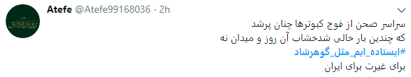 هشتگ  # ایستاده&zwnj;ایم_مثل_گوهرشاد به را انداختند + تصاویر