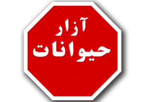 اقدام بی&zwnj;&zwnj;رحمانه مرد حیوان آزار در جابجایی یک سگ + فیلم