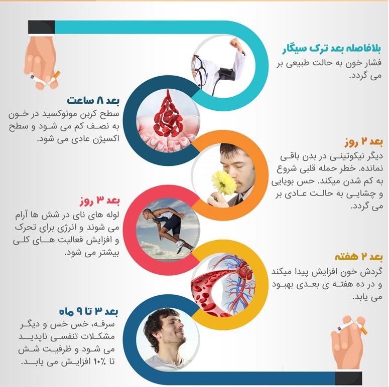 خبر زارع/// اینفوگرافیک6 مرحله سلامتی بدن بعداز ترک سیگار+اینفوگرافیک