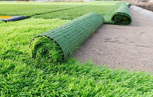 سبزی هایی خوراکی که ناجی محیط زیست می شود/ کدام گیاهان خوراکی می تواند جایگزین چمن شود؟