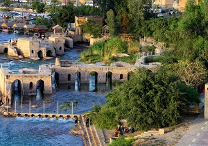 معرفی تورهای گردشگری غیرمجاز به دادگاه