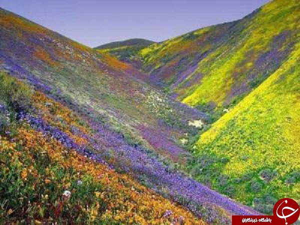 چشم انداز زیبا از طبیعت ایران که نمی توان چشم از روی آن برداشت