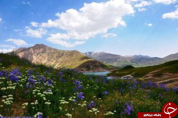 چشم انداز زیبا از طبیعت ایران که نمی توان چشم از روی آن برداشت