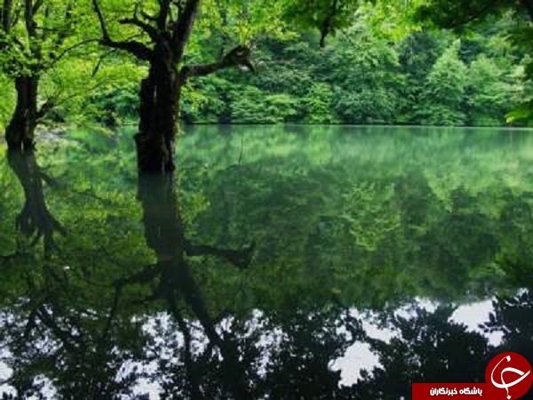 چشم انداز زیبا از طبیعت ایران که نمی توان چشم از روی آن برداشت