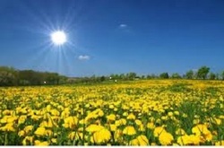 &nbsp;افزایش نسبی دمای هوا تا پایان هفته