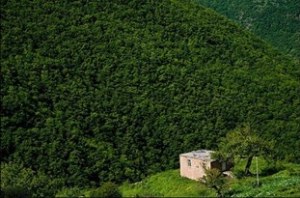 سینما سیار در شهرستان کلیبر راه اندازی شود