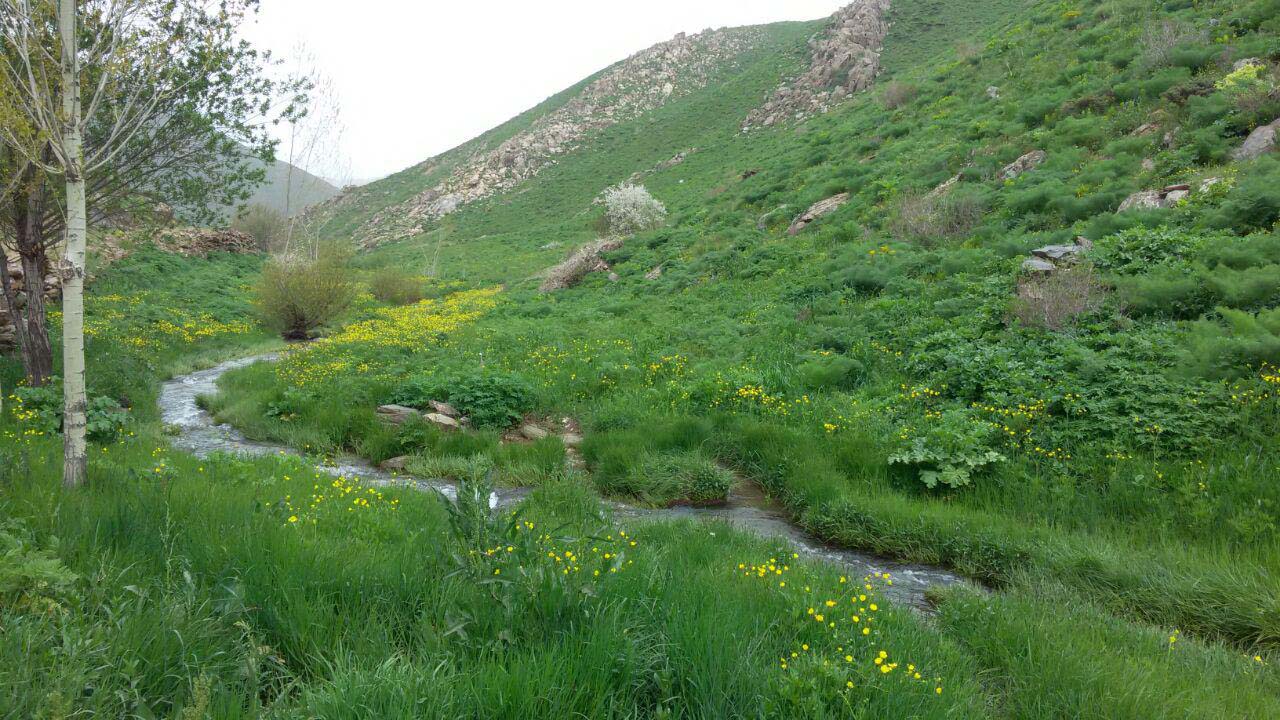 نمایی از طبیعت دیدنی و بی&zwnj;نظیر در بانه + تصاویر