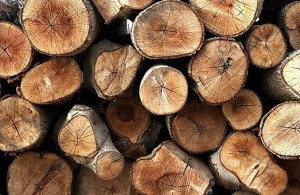 کشف محموله چوب جنگلی قاچاق در گیلان