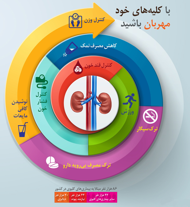 8 روش طلایی برای داشتن کلیه سالم+اینفوگرافی 8 روش طلایی برای داشتن کلیه سالم+اینفوگرافی