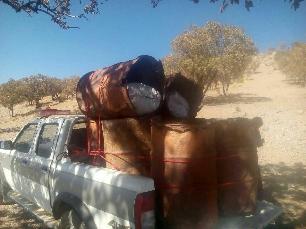 تجارت سیاه ،بلای جان جنگل های بلوط تجارت سیاه ،بلای جان جنگل های بلوط