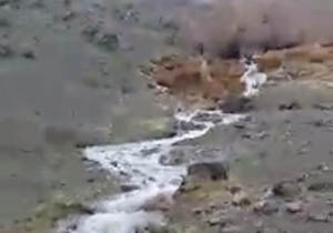 سرازیر شدن آب از کوه روستای "ازناب علیا" + فیلم