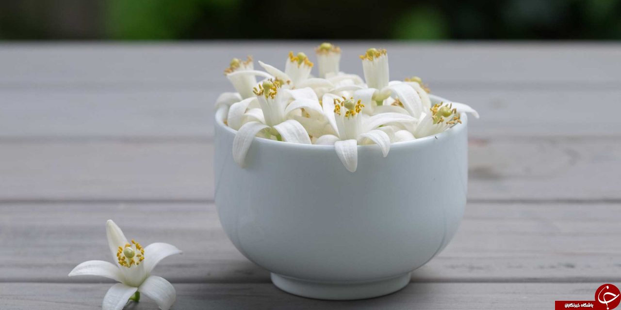 معرفی ویژگی&zwnj;های درمانی عسل بهارنارنج + مضرات و نحوه مصرف