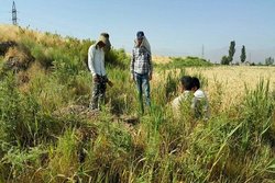 آغاز عملیات اجرایی تعیین عرصه و حریم خندان تپه در همدان