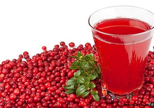 محصولات استراتژیک خراسان جنوبی نگینی در دل کویر