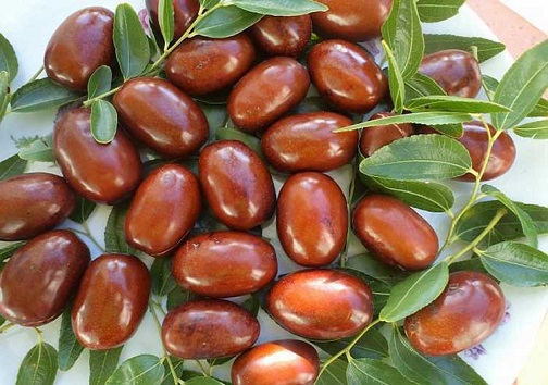 محصولات استراتژیک خراسان جنوبی نگینی در دل کویر