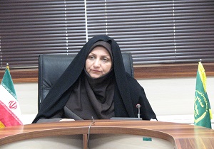 خرید ۱۶۵ هزار تن گندم در استان قزوین