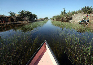 جان دوباره آبزیان در خوزستان + فیلم