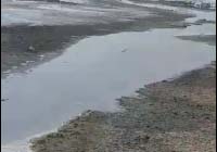 فیلمی از آلودگی زیست محیطی در روستای سعیدآباد
