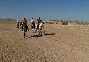 آغاز رقابت های سوارکاری استقامت در مراغه