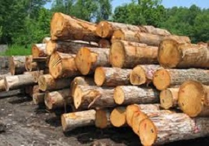 کشف چوب و شیرآلات قاچاق در شاهرود به ارزش ۴۴۰میلیون ریال