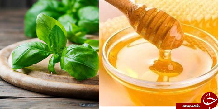 از خواص ریحان و عسل آن چه می&zwnj;دانید؟! + طریقه مصرف عسل ریحان و مضرات آن