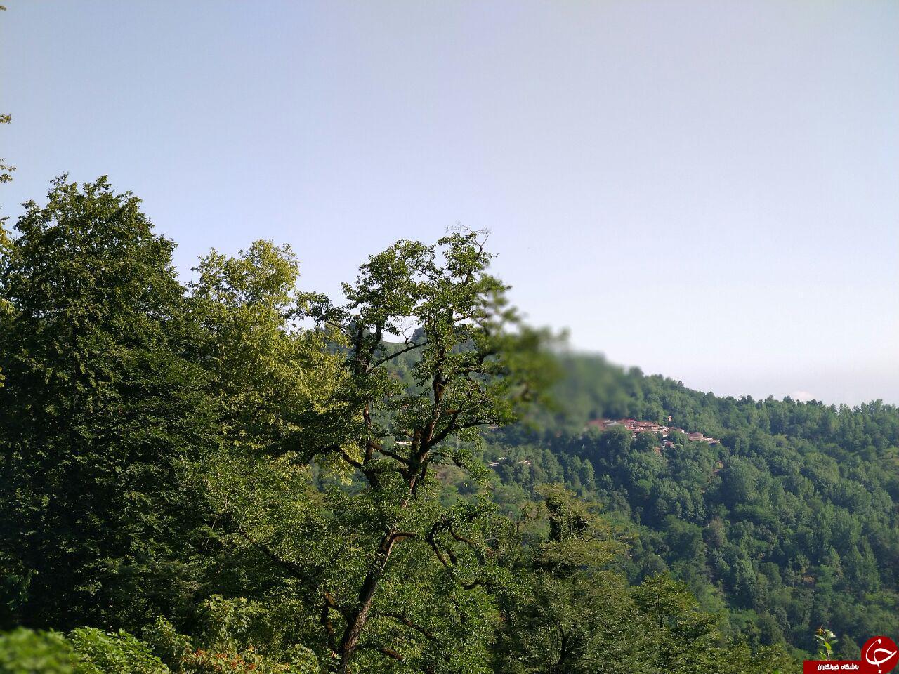 تصاویری از طبیعت جذاب در روستای تابستان &zwnj;نشین