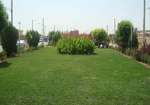 تقدیر از ۲ فرهنگی ناحیه ۱ اهواز درحوزه ارتقای فضای سبز