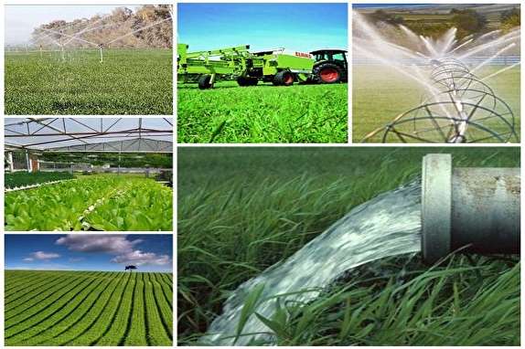 ارائه ۱۹ طرح کشاورزی خراسان شمالی برای سرمایه گذاری